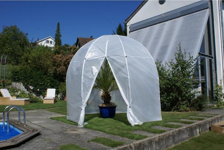 Colibri Premium Palm House XL