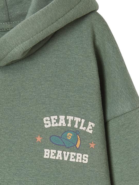 Actual product image Vertbaudet Boys' hooded sweatshirt (86)