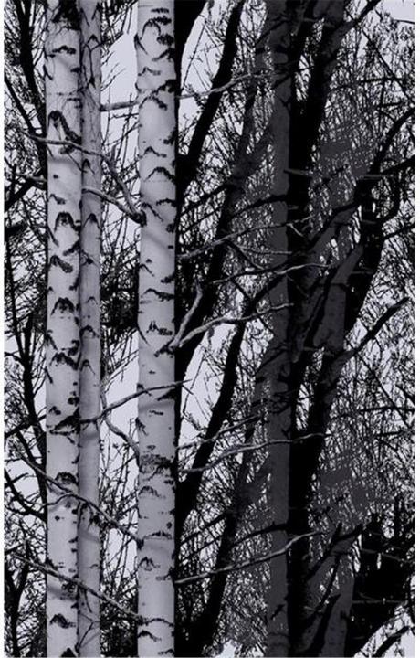 D-C-Fix Wood (45 x 150 cm)