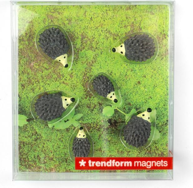 Actual product image Trendform Hedgehog (6 x)