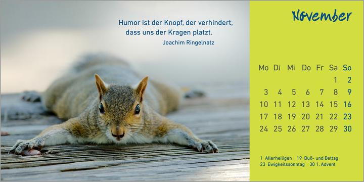 Actual product image Bright days 2025 (German)