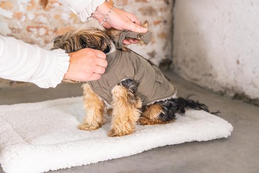 Actual product image Designed by Lotte Dog coat Philos (XS, Dog coat)