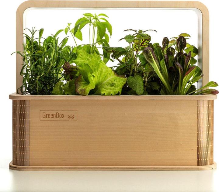 Produktbild BerlinGreen GreenBox Great Variety Bundle
