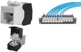 Produktbild Digitus CAT 6 Keystone-Buchse, ungeschirmt werkzeuglose Verbindung, 24er Set (Keystone Modul)