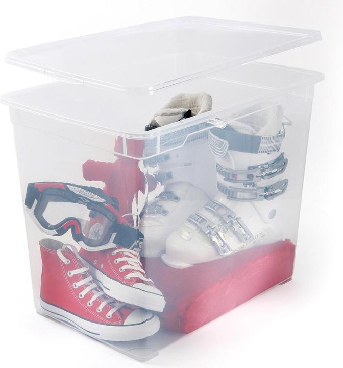 Image du produit Rotho Clair (55 x 37,5 x 43,5 cm, 70 l)