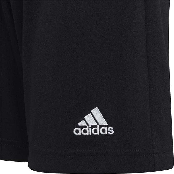 Actual product image adidas Entrada 22 Shorts (116)
