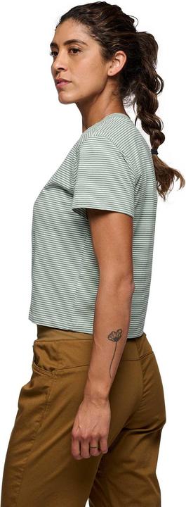 Actual product image Black Diamond Bd Stripe Ss Tee (XL)