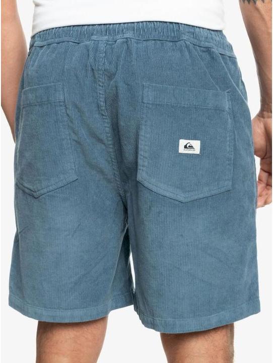 Actual product image Quiksilver Taxer Cord (L)