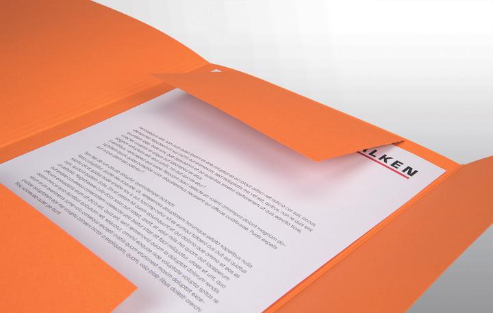 Actual product image Falken Folder, DIN A4, flaps, manila cardboard (A4, 1 x)