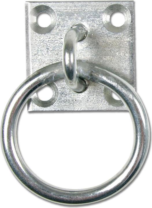 Actual product image Waldhausen Tie ring with plate
