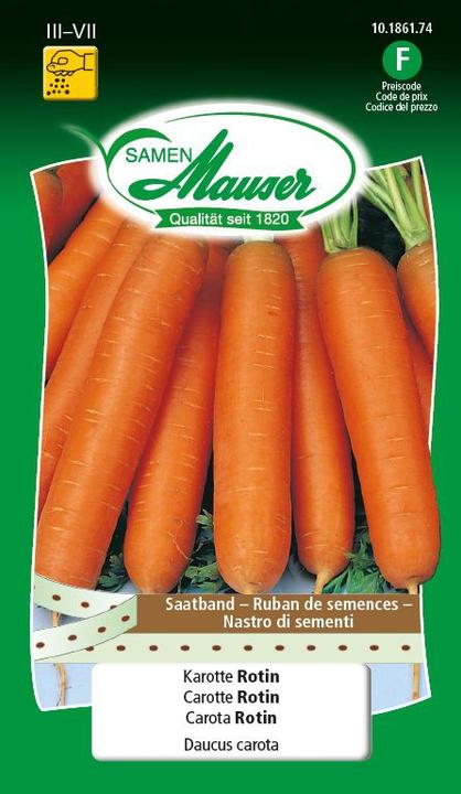 Image du produit Samen Mauser Ruban de graines de carottes et de rotin (Graines de légumes)