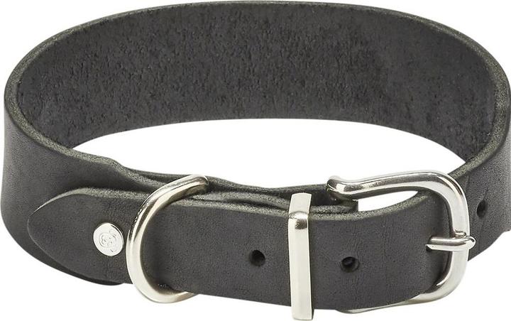 Halsband + Leine