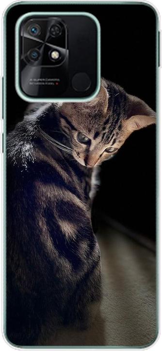 Junge Katze