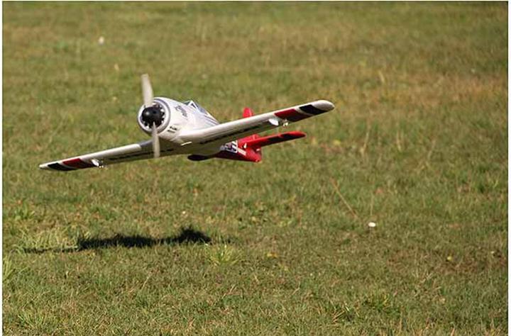 Actual product image Multiplex Race Wulf (Warbird)