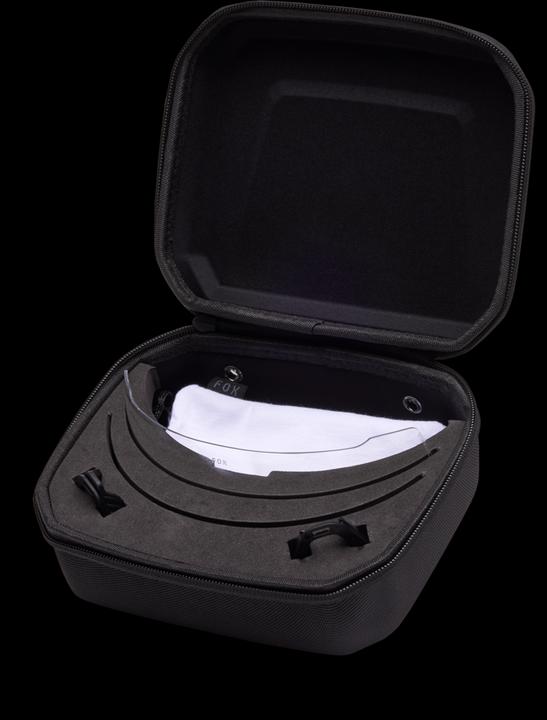 Actual product image Fox Goggle 24 Purevue Black/Mirror Blk/G (Black, Gold, Black)