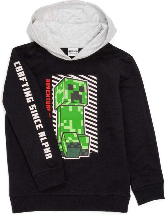 Actual product image Minecraft Boys hoodie (134)