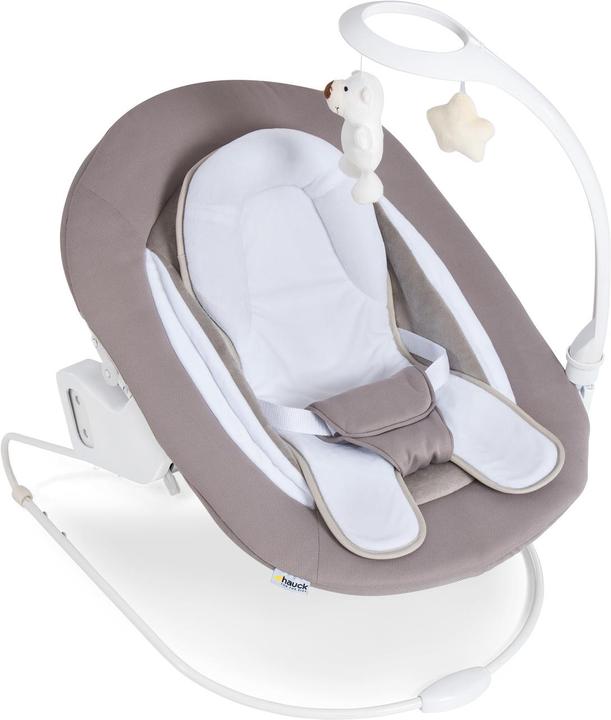 Actual product image Hauck Alpha Bouncer Deluxe