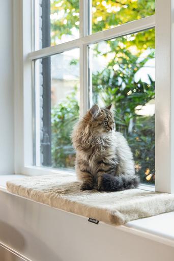 Produktbild Beeztees Fensterbankkissen Moza (Katze)