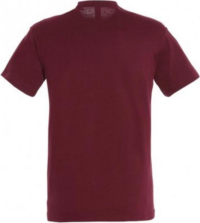 Image du produit Sols Tee-shirt Regent à manches courtes (XS)
