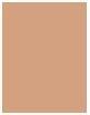 Image du produit Clarins Everlasting Foundation (No.112.5W Caramel)