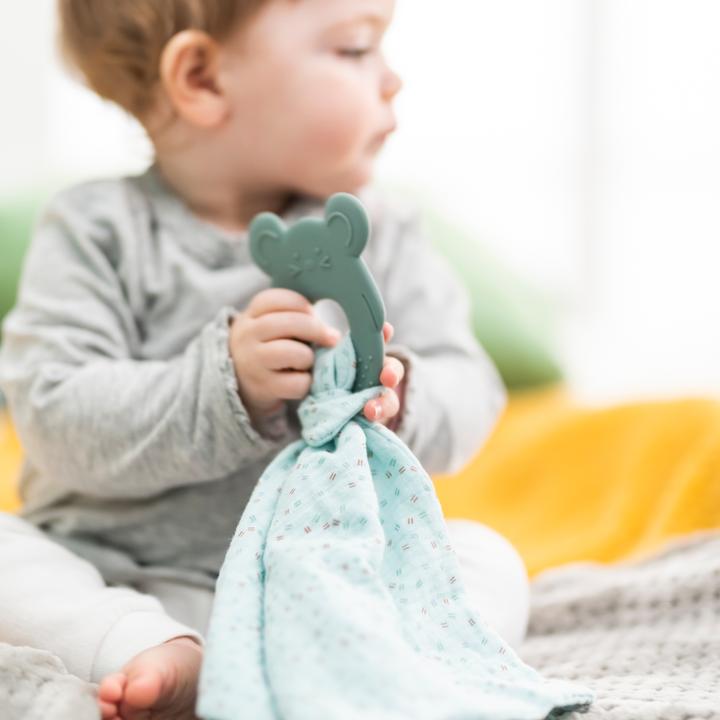 Actual product image Nattou Cuddle cloth with teething ring