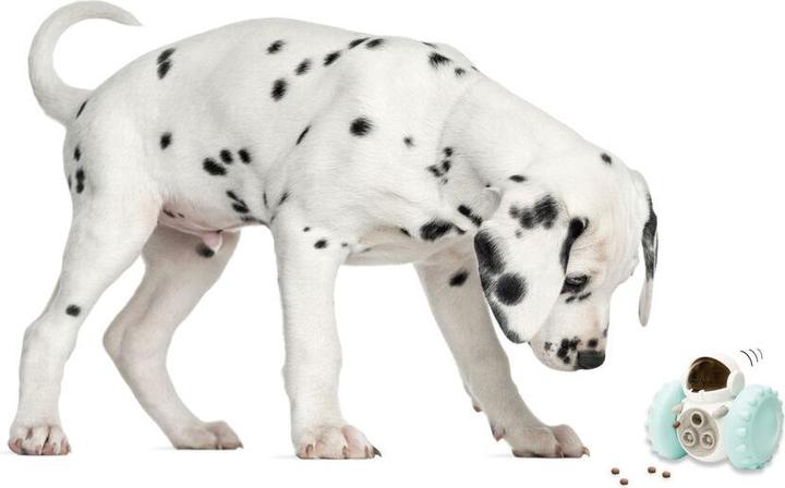 Actual product image Winkee - Robot toys for pets - Pet Care Robot Toy