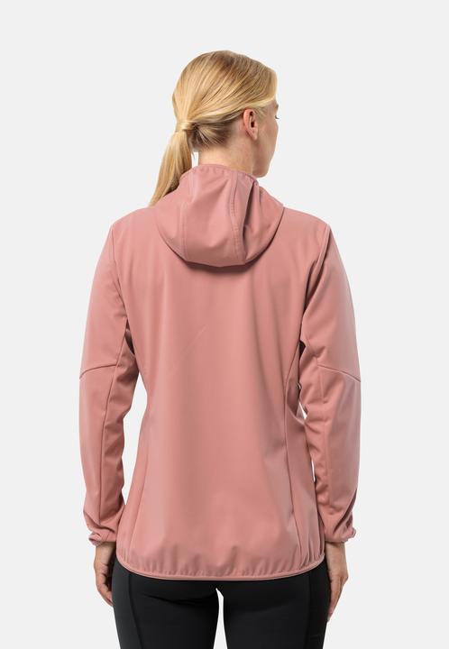 Immagine prodotto Jack Wolfskin Feldberg Hoody W (XS)