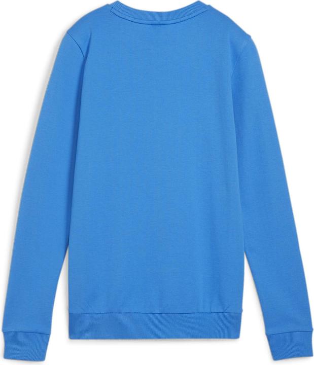 Actual product image Puma teamGOAL Casuals Crew Neck Sweat Wmn (XL)