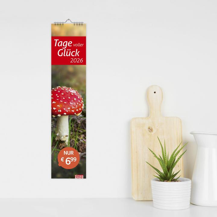 Produktbild times&moreTagevollerGlückLangplaner2026 (11 x 49 cm, Deutsch)