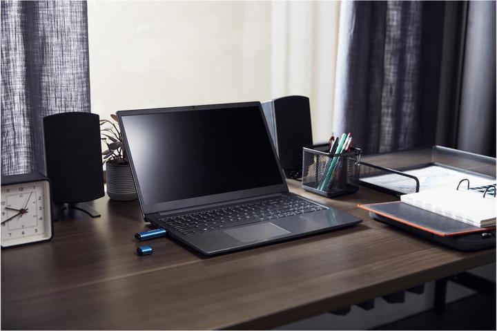Image du produit Kingston IronKey Vault Privacy 50C (32 Go, USB-C)