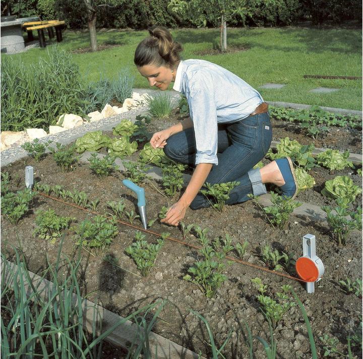 Produktbild Gardena Pflanzer 3487