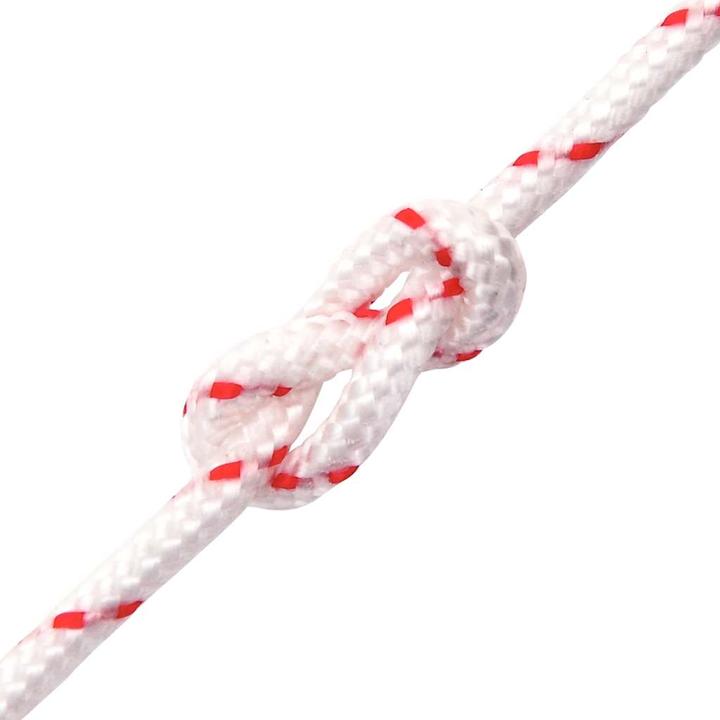Produktbild VidaXL Starterseil und Ø6 mm 10 m Nylon (10 m)