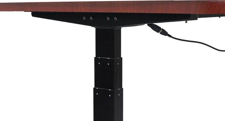Immagine prodotto Swisshandel24 Scrivania (160 x 80 x 121 cm)