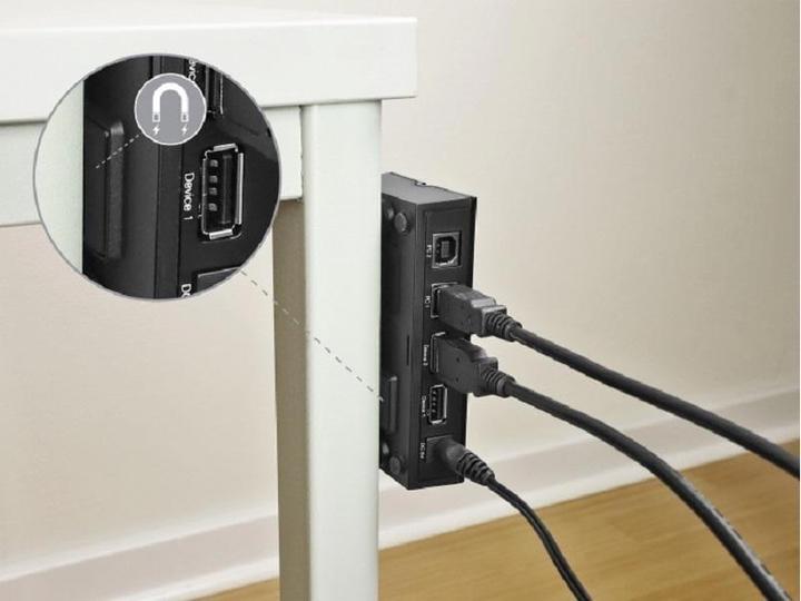 Actual product image Delock USB switch 11491