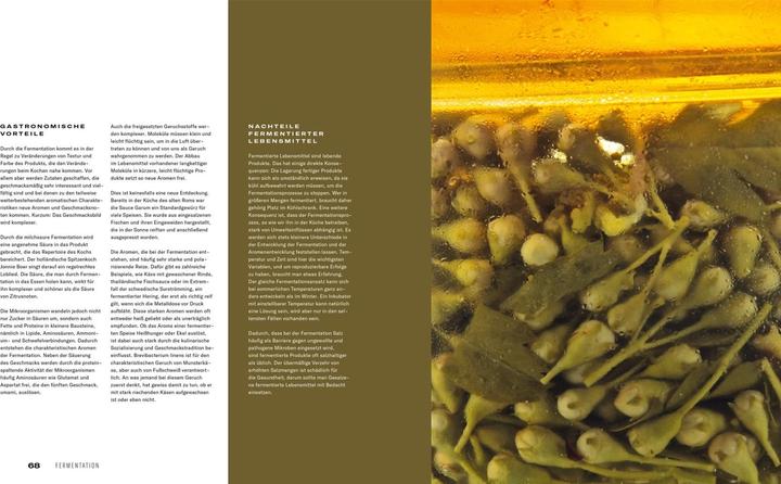 Immagine prodotto Fermentation (Tedesco, Tommaso, Antoniewicz, Heiko/Ruhl, 2021)