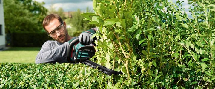 Actual product image Bosch Home & Garden Ahs 50-20 Li (Cordless hedgecutters)