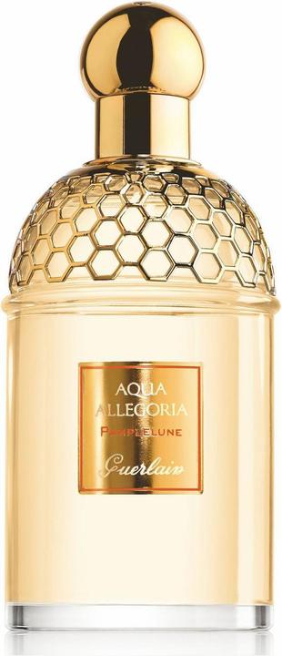 Produktbild Guerlain DUPLIKAT Aqua Allegoria (Eau de Toilette, 125 ml)