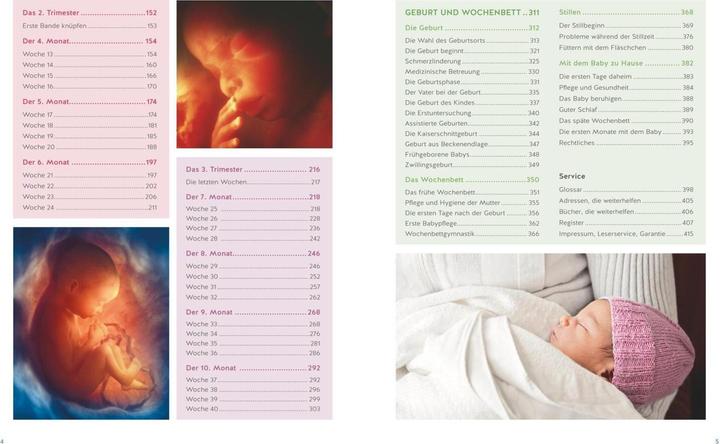 Actual product image Das grosse Buch zur Schwangerschaft (German, Annette Nolden, 2018)