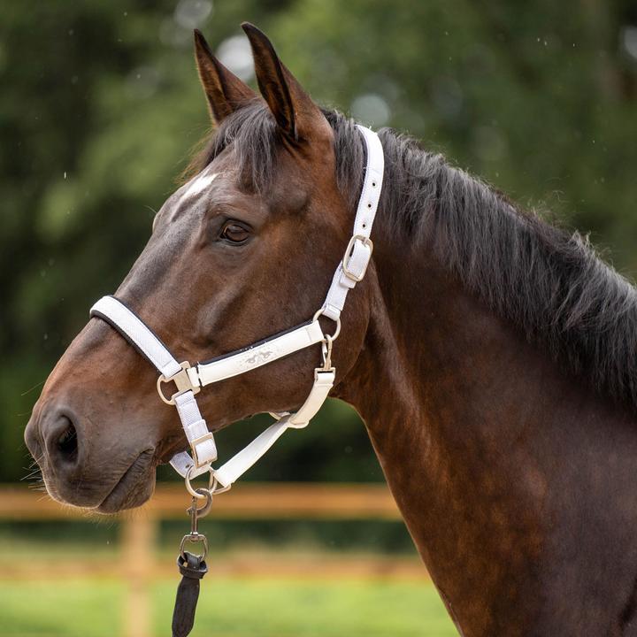 Image du produit HV Polo Skye