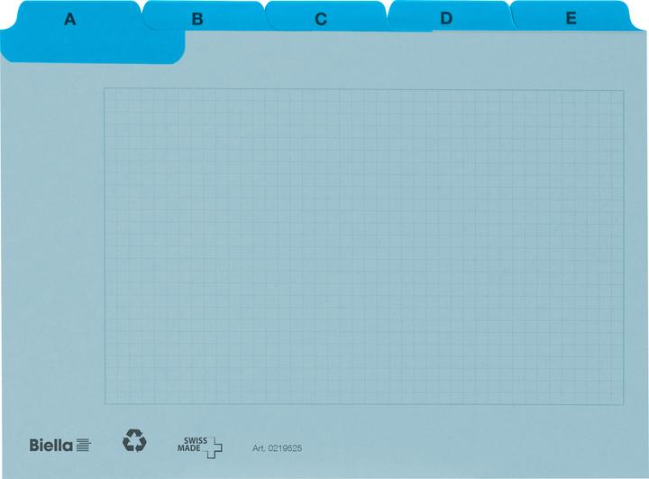 Biella Index guide cards A7 (A7, 450 g/m², 25 x)