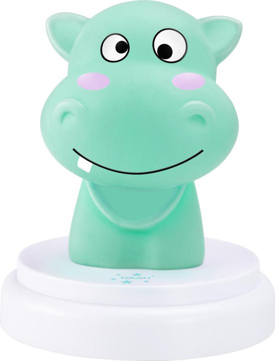 Silly Hippo