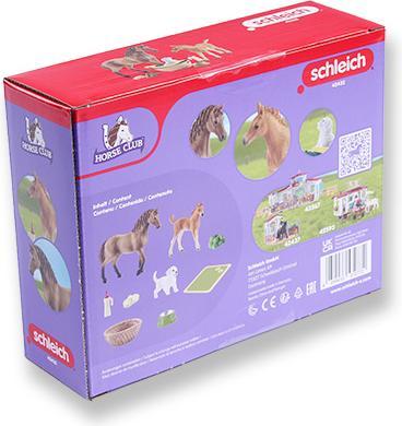 Produktbild Schleich Baby-Tierpflege-Set