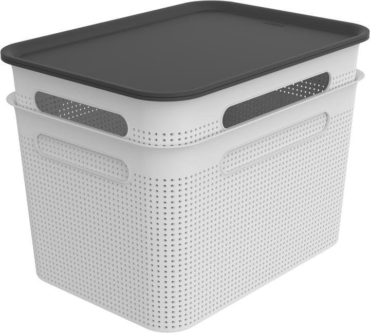 Immagine prodotto Rotho Breezes (26,8 x 36,5 cm, 16 l)