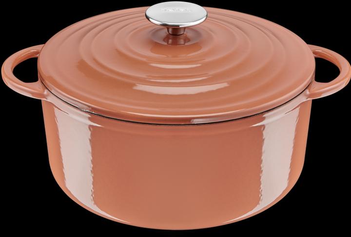 Tefal LOV pirofila (25 cm, Pirofila + casseruola, Pentola, Ghisa)