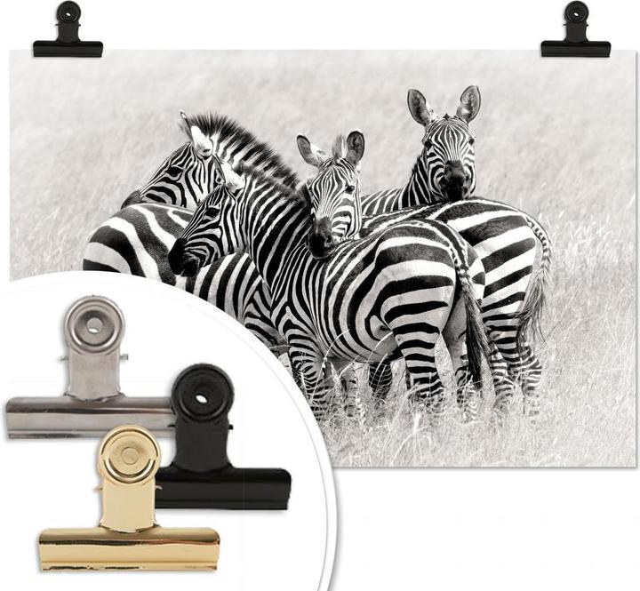 Actual product image Trenddeko Trubitsyn - zebras in the savannah (100 x 70 cm)