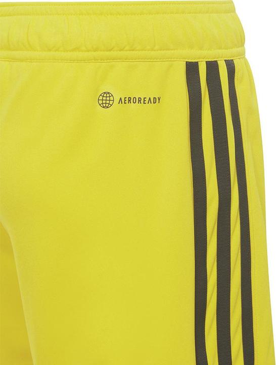 Actual product image adidas Tiro 23 training shorts kids (164)