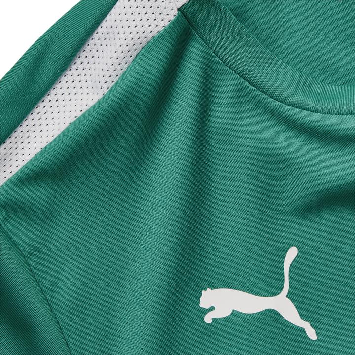 Image du produit Puma Maillot teamLIGA Jr-704925 (152)