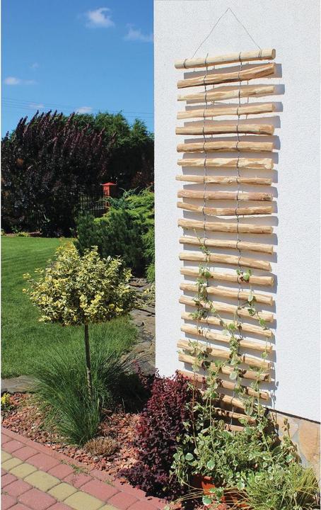 Produktbild Dobar Rankgitter (50 cm, 1.50 cm)