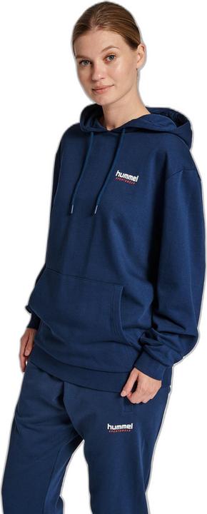 Produktbild hummel Lgc Austin Hoodie (L)