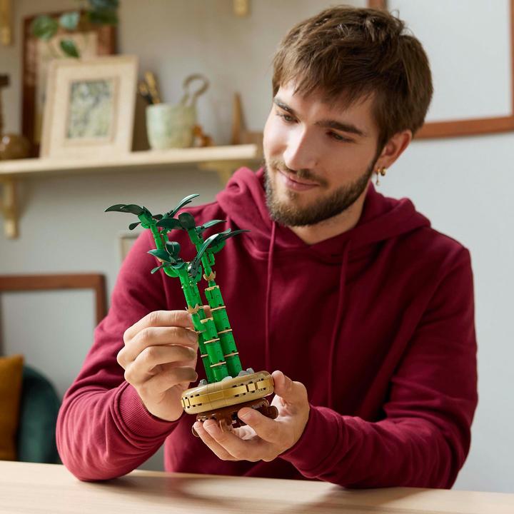Image du produit LEGO Glücks-Bambus (10344, LEGO Icons)